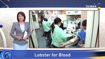 Kaohsiung Offering Free Lobster To Attract Blood Donors