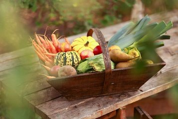Aéroponie : quelle est cette technique de permaculture qui permet de produire des centaines de kilos de légumes ?