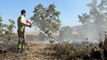Siirt'te orman yangını, 17 saatte kontrol altına alındı