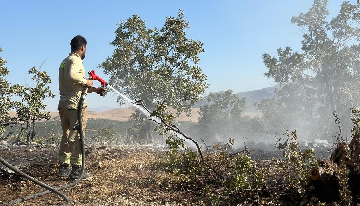 Siirt'te orman yangını, 17 saatte kontrol altına alındı