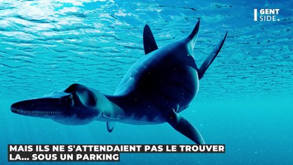 Cet os de dinosaure marin aurait appartenu à un chasseur de fossile antique