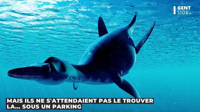 Cet os de dinosaure marin aurait appartenu à un chasseur de fossile antique