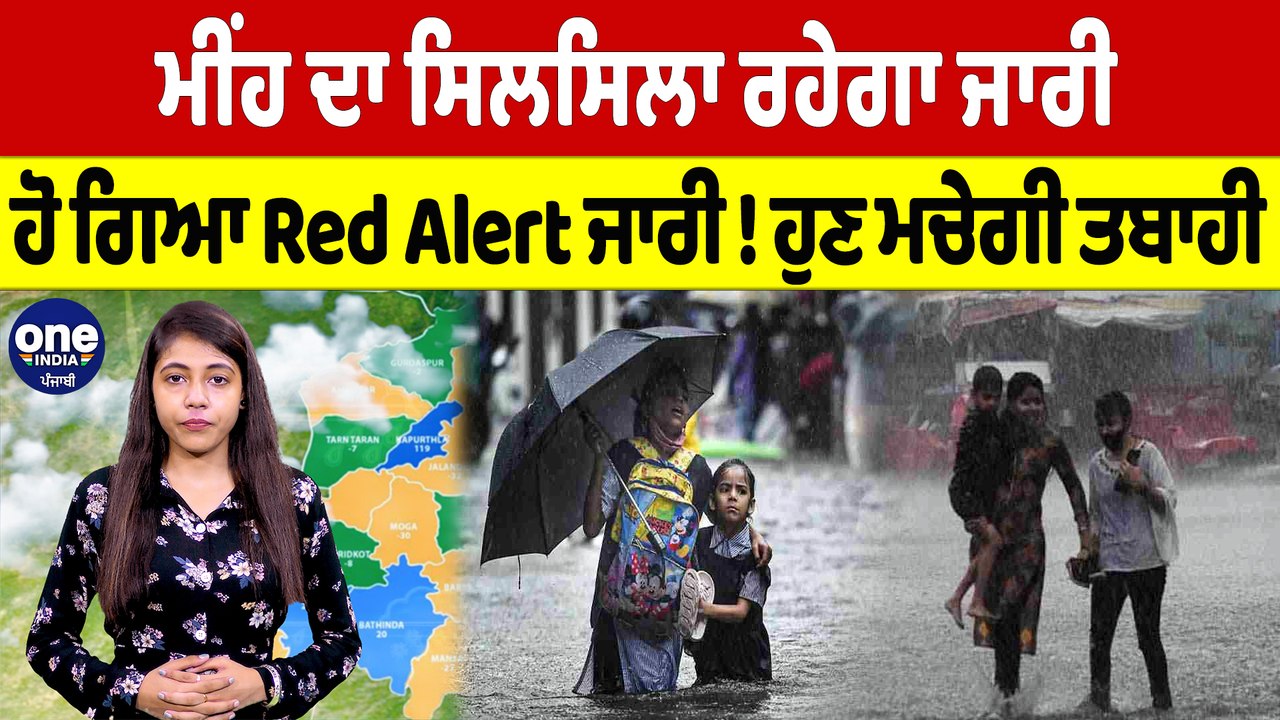 ਮੀਂਹ ਦਾ ਸਿਲਸਿਲਾ ਰਹੇਗਾ ਜਾਰੀ, ਹੋ ਗਿਆ Red Alert ਜਾਰੀ! ਹੁਣ ਮਚੇਗੀ ਤਬਾਹੀ |Punjab Weather |Oneindia Punjabi
