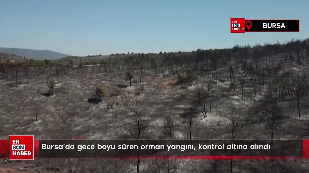 Bursa'da gece boyu süren orman yangını, kontrol altına alındı