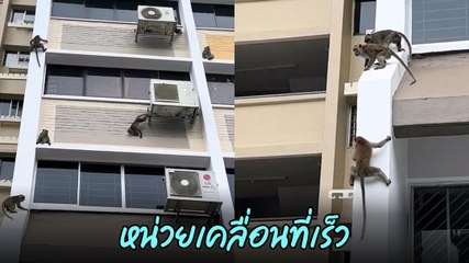 นะ..นี่มัน หรือจะเป็นหน่วยจู่โจมพิเศษ กำลังปฏิบัติภารกิจลับบนตึกสูง