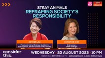 Consider This: Stray Animals (Part 2) - Towards a Stray Free Selangor