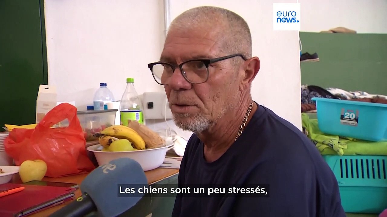 Dans les flammes, les animaux de compagnie qui n'ont pas eu le temps d'être emmenés