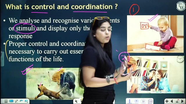 Control and Coordination 01 Control and Coordination in Animals