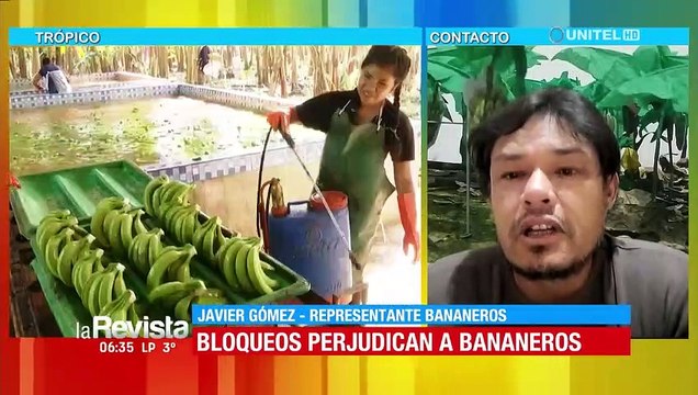Bananeros reclaman acciones al Gobierno ante bloqueos y falta de pago de empresas argentinas a los productores 