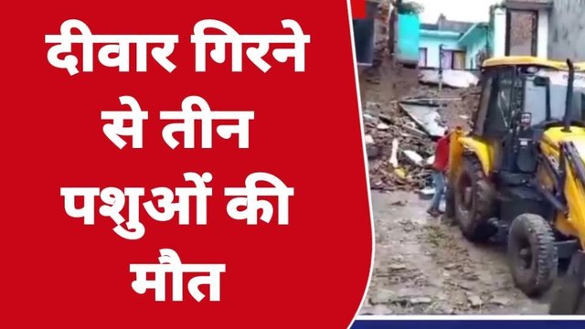 बिजनौरः मकान की दीवार भरभरा की गिरी मलबे में दबकर तीन पशुओं की मौत