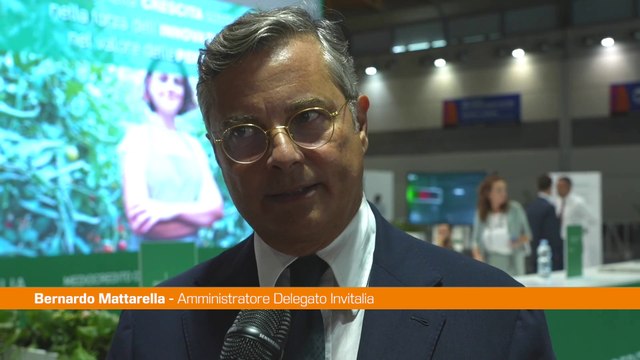 Invitalia, Mattarella Nel 2022 sostegno a oltre 100 mila imprese