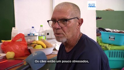 Voluntários que cuidam e resgatam animais enquanto o fogo avança