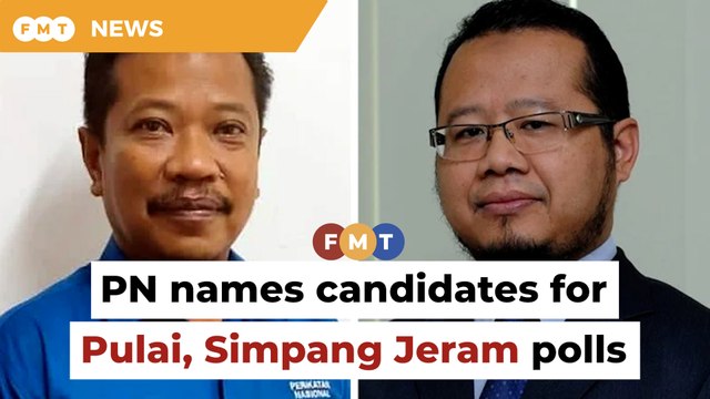 PN fields businessman, surgeon for Pulai, Simpang Jeram polls