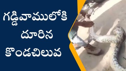 శ్రీసత్యసాయి జిల్లా: వామ్మో గడ్డివాములో కొండచిలువ.. పరుగులు పెట్టిన జనం