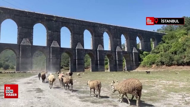 İstanbul'a su sağlayan barajların doluluk oranı yüzde 31'e düştü