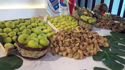 Aydın'da Sezonun İlk Kuru İnciri 350 TL'den Alındı
