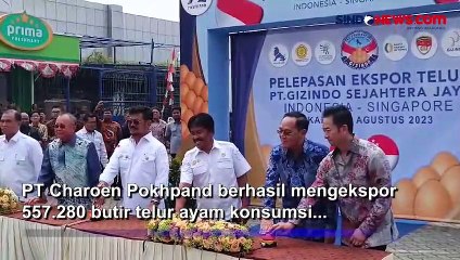 Menteri Pertanian Sebut Ekspor Telur ke Singapura adalah Kesempatan Besar