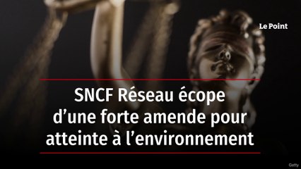 SNCF Réseau écope d’une forte amende pour atteinte à l’environnement
