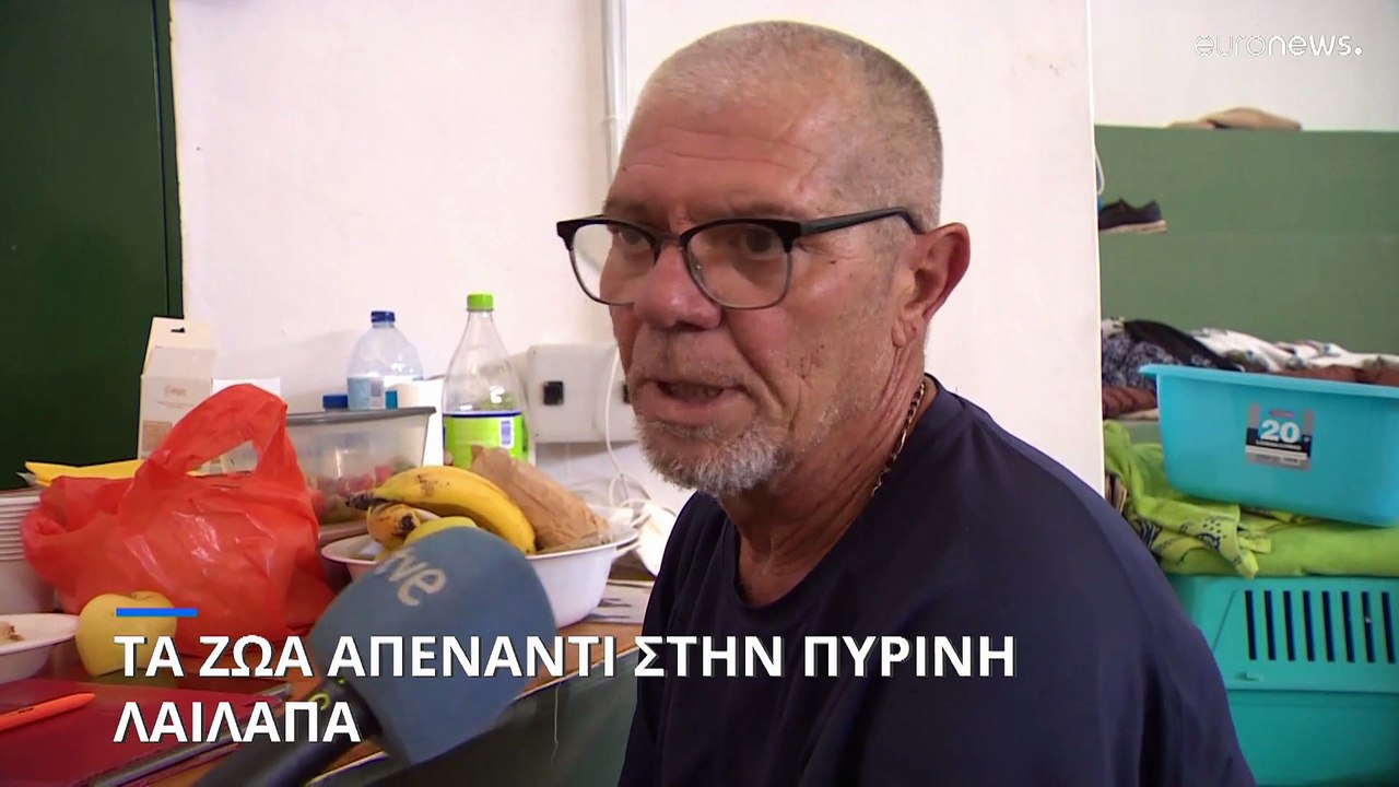 Ο αγώνας δρόμου για την διάσωση των ζώων στα πύ...