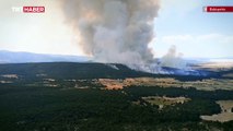 Eskişehir'de ormanlık alanda çıkan yangına müdahale ediliyor