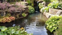 We tour the beautiful RHS Garden Wisley