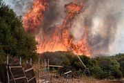 Waldbrände in Griechenland breiten sich rasant aus