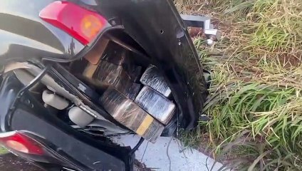 Veículo que capotou em Cambira transportava 480 kg de maconha