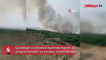 Gelibolu Yarımadası'nda orman yangını