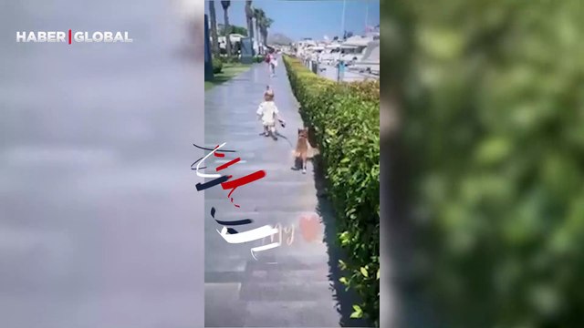 Kıvanç Tatlıtuğ'un eşi Başak Dizer Kurt Efe'nin köpek gezdirdiği anları paylaştı