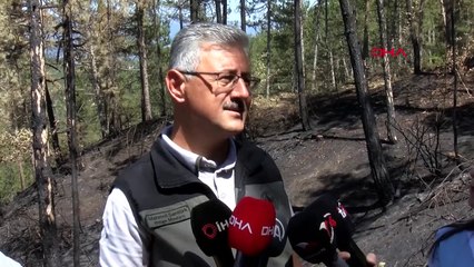 Bolu'da Yaz Mevsiminde 20 Orman Yangını Çıktı