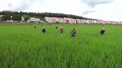 통일부 "北, 식량 상황 안정에 노심초사...제한적 국경 개방" / YTN