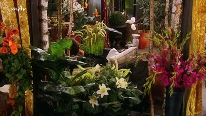 Rote Rosen Folge 941