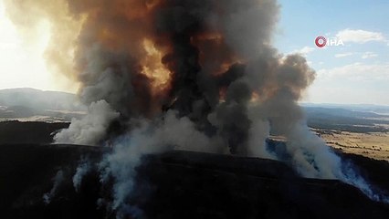La réponse aérienne aux incendies de forêt se poursuit à Eskişehir