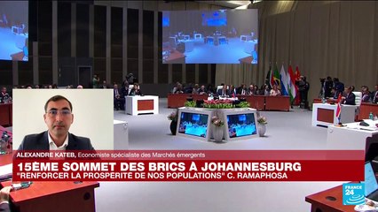 15eme Sommet des BRICS à Johannesburg : "la dédollarisation au cœur des débats"