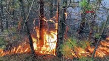 Incendie de forêt dans le district d'ESKİŞEHİR Seyitgazi
