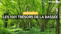 À la découverte des 1001 trésors de la Bassée