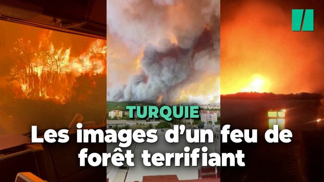 Turquie : les images du feu de forêt qui interrompt le trafic maritime dans les Dardanelles