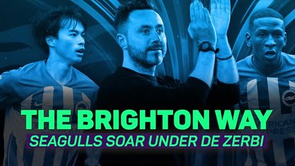 Video herunterladen: The Brighton Way: Seagulls soar under De Zerbi