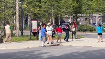 Tourists Approach Bison to Take Pictures in Yellowstone