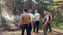 Kastamonu'da Orman Yangını Kontrol Altına Alınmaya Çalışılıyor