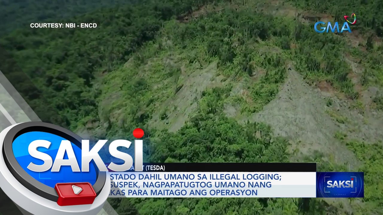 4 arestado dahil umano sa illegal logging; mga suspek, nagpapatugtog umano nang malakas para maitago ang operasyon | Saksi