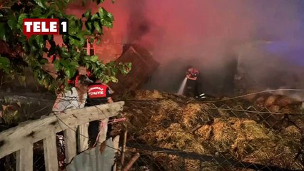 Eski bakan Nebati’nin taklidini yapan gazeteci hapse giriyor