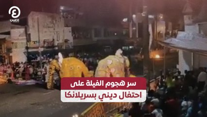 سر هجوم الفيلة على احتفال ديني بسريلانكا