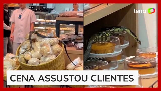 Cobra é flagrada rastejando em cima de bolos e pães em supermercado de Florianópolis