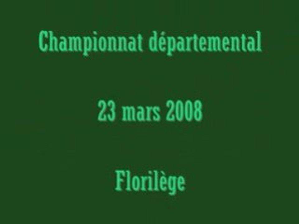 CSO-PONAM/CD Vienne-en-Val, 2008