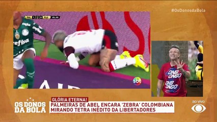 Souza admite: Palmeiras tem tudo para ganhar a quarta Libertadores