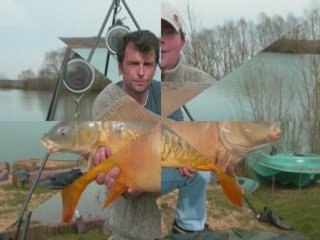 peche carpe