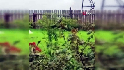 Wagner lideri Prigojin'i taşıyan uçağın düştüğü anlar görüntülendi