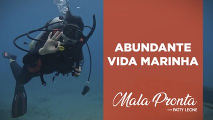 Patty Leone se aventura em mergulho nas águas cristalinas de Palm Beach | MALA PRONTA