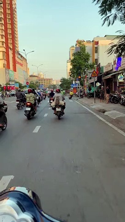 Saigon Pups Commute On Scooter